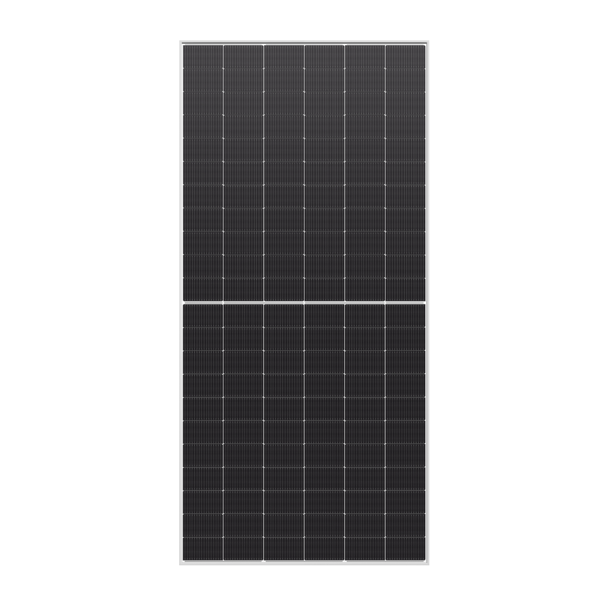 Bild von Longi LR8-66HGD-615M | Silver frame | bifacial