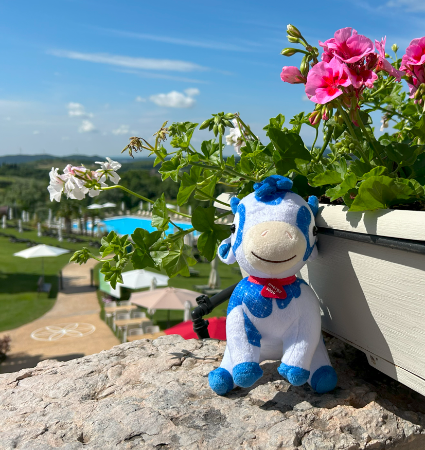 SunConnect Tour Verona SunConnect Tour Verona