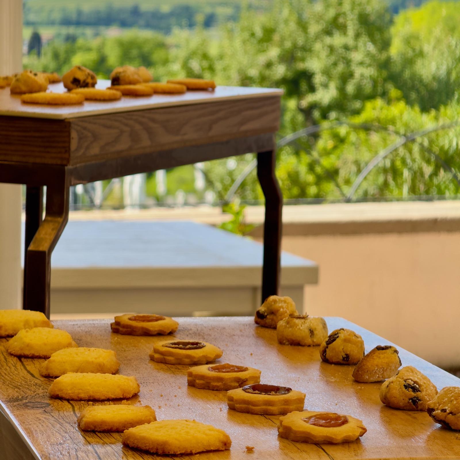 SunConnect Tour Verona SunConnect Tour Verona