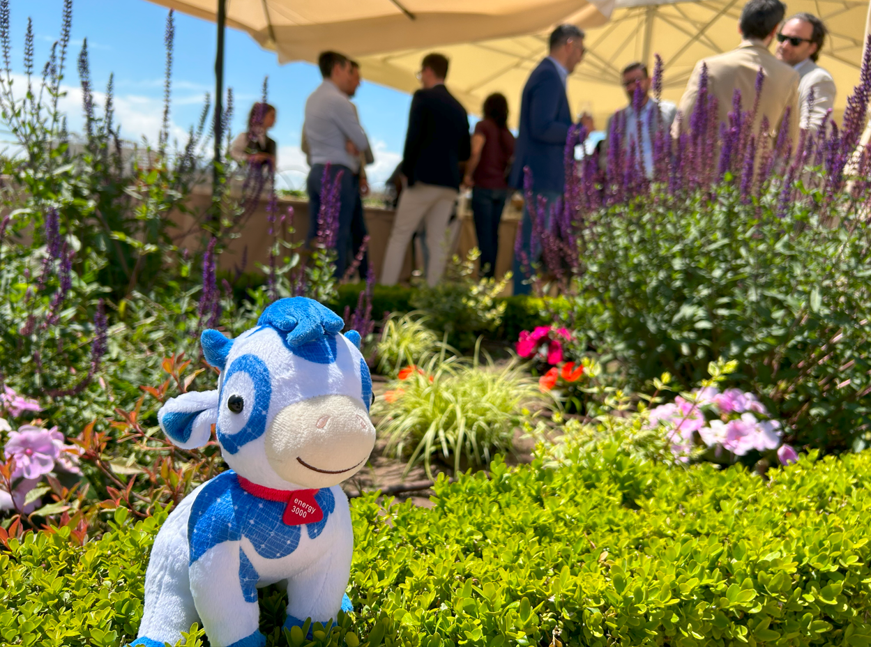 SunConnect Tour Verona SunConnect Tour Verona